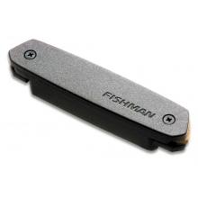 Fishman Neo-D Magnetic Single Coil Acoustic Guitar Soundhole Pickup