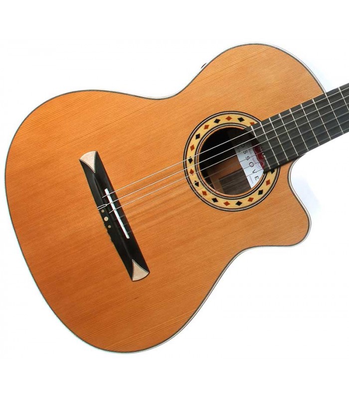 Alhambra Crossover CS-3 E8 Classical Guitar with Cutaway and Flex M ...