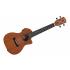 Alvarez RU22CCE Regent Series Concert Ukulele with Pickup