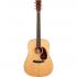 Martin D18 Acoustic Guitar