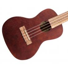 Makala MK-C Concert Ukulele