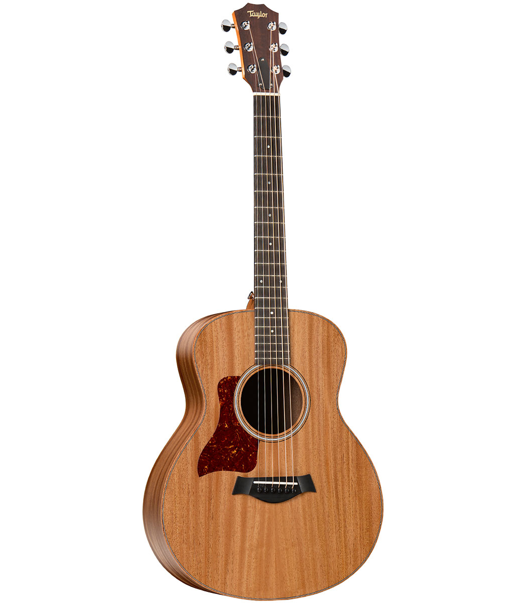 taylor gs mini perth