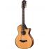 Taylor 652ce Builder's Edition 12-String Acoustic Guitar with Pickup - Natural