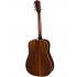 Eastman PCH2-D Solid Top Acoustic Guitar - Natural Top