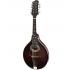 Eastman MD304 All Solid Woods Mandolin