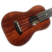 Kanile'a K1 Concert Deluxe Gloss Ukulele w/ Double Active Pickup