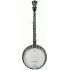 Ibanez B200 5-string Resonator Banjo 