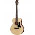 Taylor GS Mini-e Rosewood Plus with ES2 Pickup and AeroCase