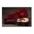 Taylor GS Mini-e Rosewood Plus with ES2 Pickup and AeroCase