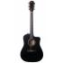 Taylor 250ce-DLX Acoustic/Electric Guitar - Black