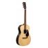 Martin 00-X2E Acoustic/Electric Guitar - Cocobolo Pattern HPL