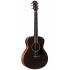 Taylor GS Mini-e Special Edition Trans Black Acoustic/Electric Guitar