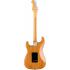 Fender American Professional II Stratocaster, HSS, Maple Fingerboard, Roasted Pine